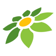 ANIME CLOVER